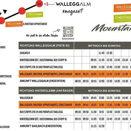 In-ski Out - Gaestehaeuser - Wallegghof Christianhof Saalbach-Hinterglemm
