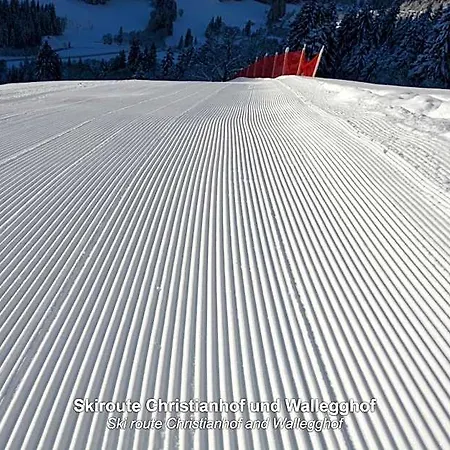 In-ski Out - Gaestehaeuser - Wallegghof Christianhof *