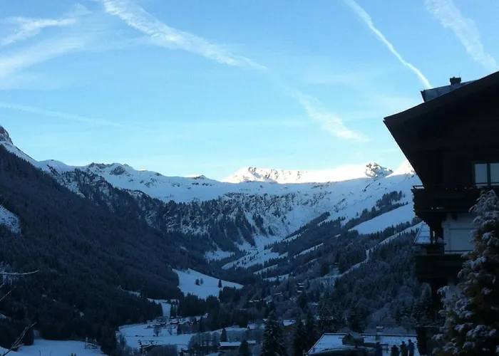 In-ski Out - Gaestehaeuser - Wallegghof Christianhof Saalbach-Hinterglemm