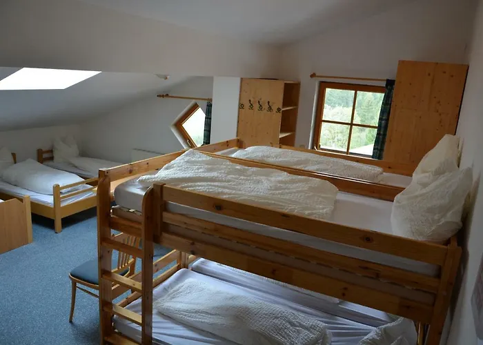 In-ski Out - Gaestehaeuser - Wallegghof Christianhof * Saalbach-Hinterglemm